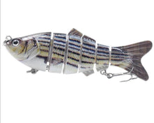 Load image into Gallery viewer, 10cm 16.5g Multi-section Lure With Ring Beads Simulation Luya Multi-section Lure Submerged Bionic 6-section Lure